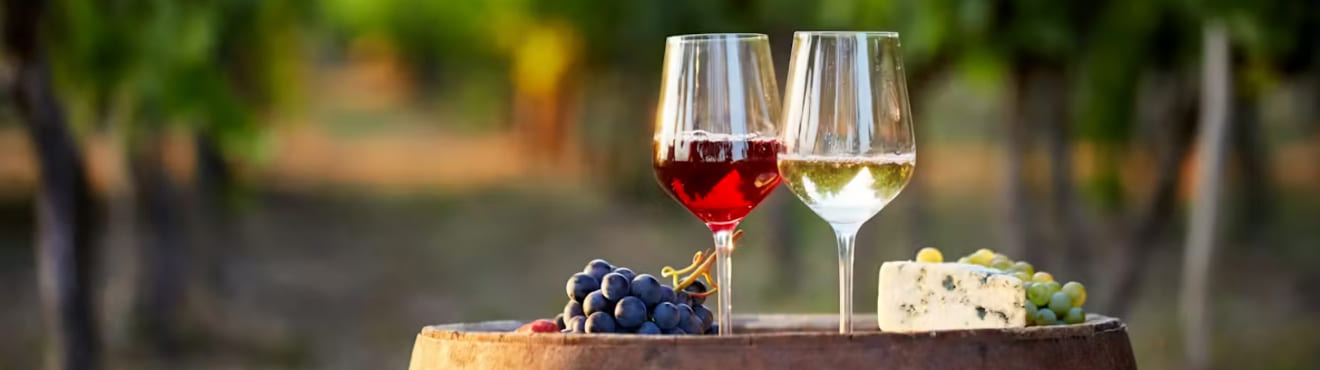 Vinske kuće i kušaonice