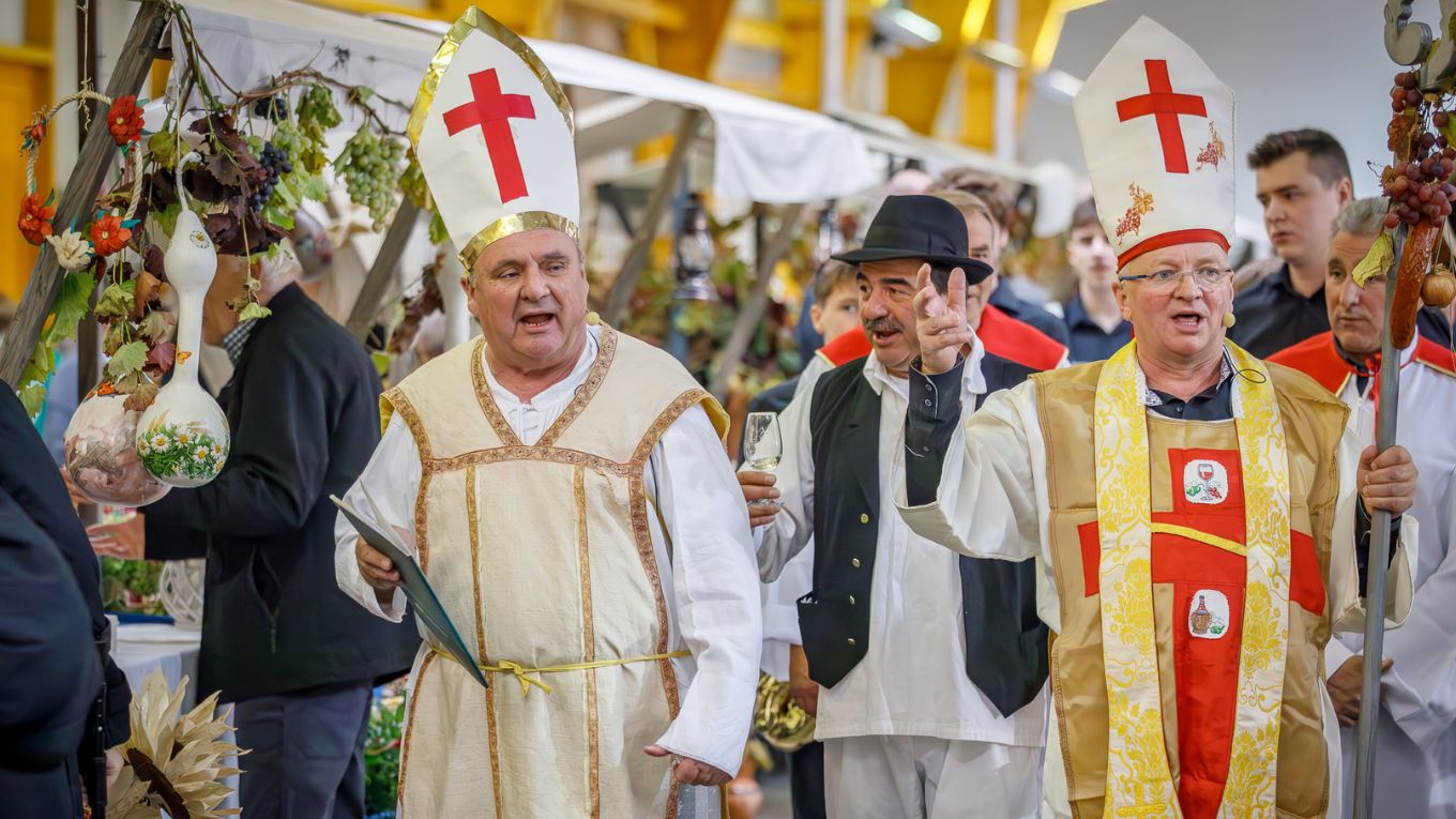 Martinje i Festival hladnetine u Nedelišću