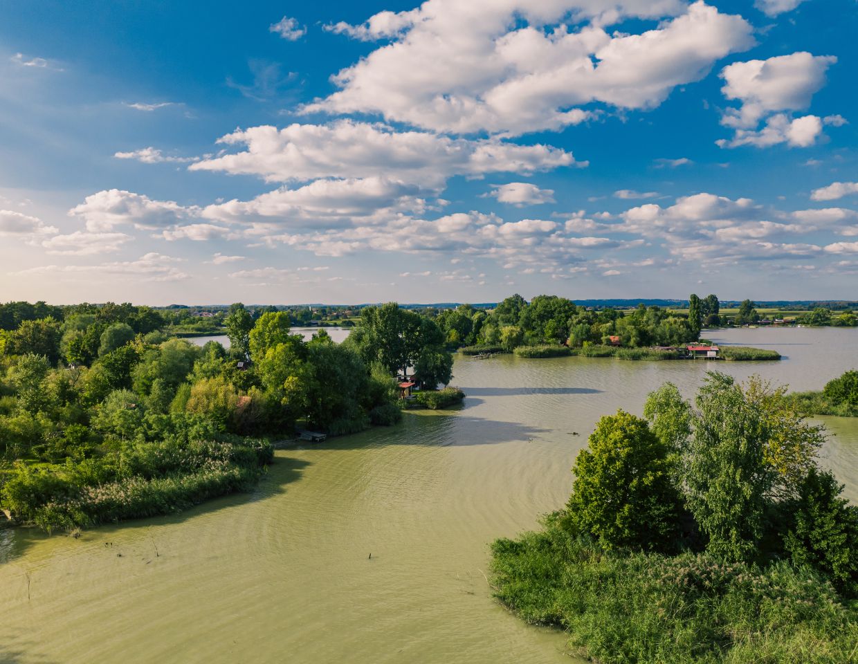Stari tok rijeke Drave